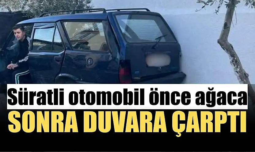 Süratli otomobil önce ağaca sonra duvara çarptı