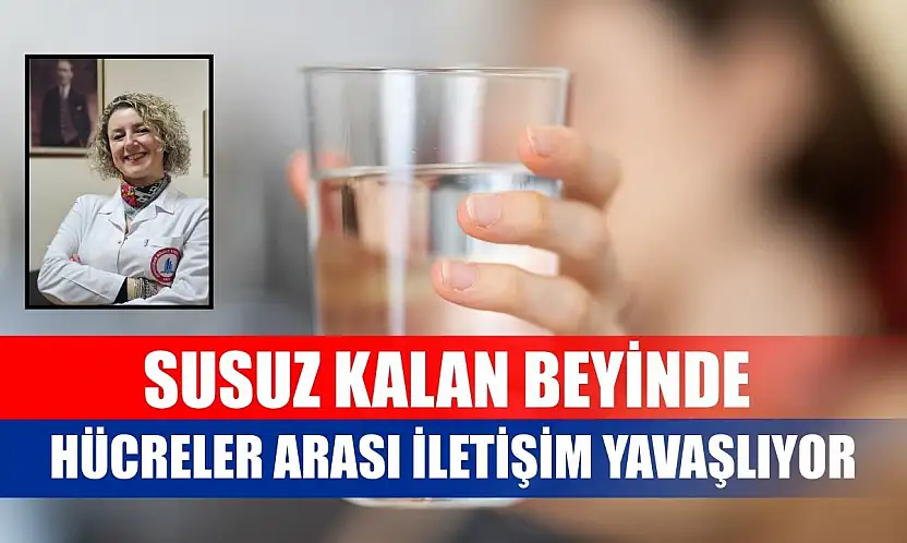 Susuz kalan beyinde hücreler arası iletişim yavaşlıyor