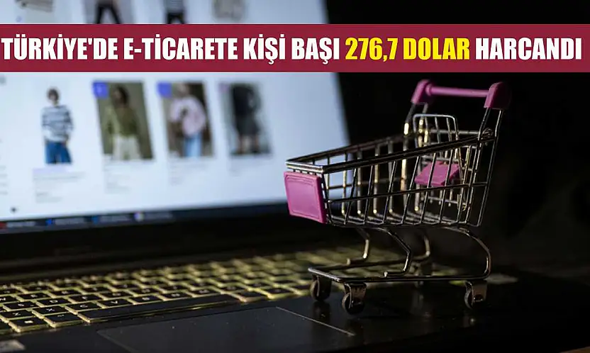 Türkiye'de e-ticarete kişi başı 276,7 dolar harcandı
