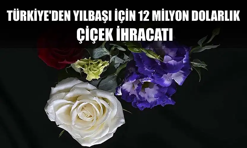 Türkiye'den yılbaşı için 12 milyon dolarlık çiçek ihracatı