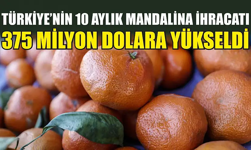 Türkiye'nin 10 aylık mandalina ihracatı 375 milyon dolara yükseldi