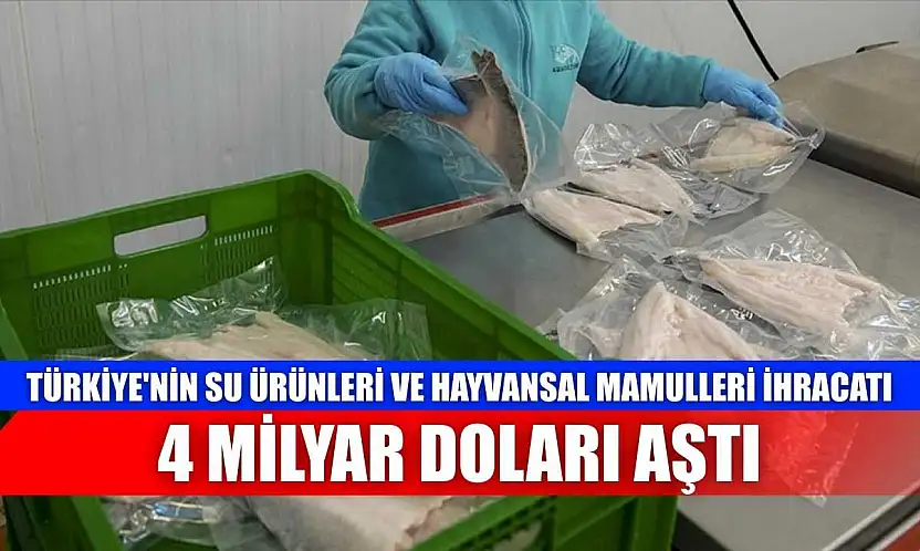 Türkiye'nin su ürünleri ve hayvansal mamulleri ihracatı 4 milyar doları aştı