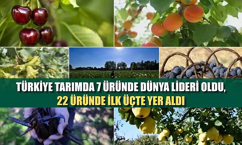 Türkiye tarımda 7 üründe dünya lideri oldu, 22 üründe ilk üçte yer aldı