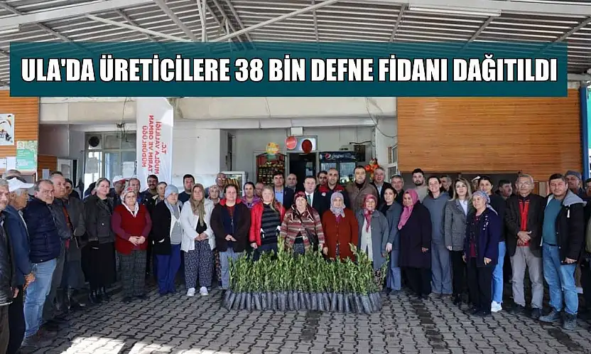 Ula'da üreticilere 38 bin defne fidanı dağıtıldı