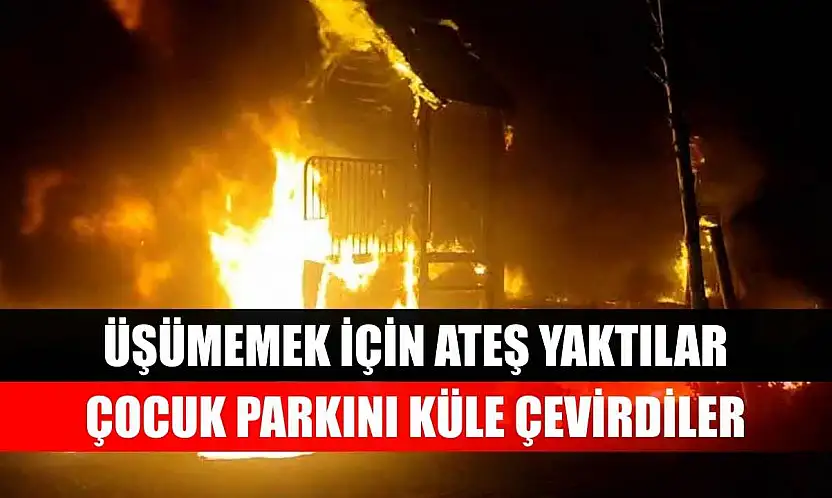 Üşümemek için ateş yaktılar, çocuk parkını küle çevirdiler