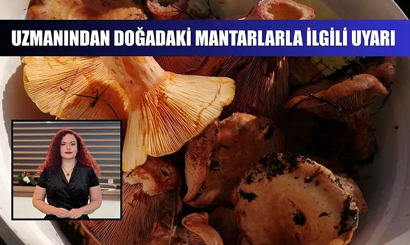 Uzmanından doğadaki mantarlarla ilgili uyarı