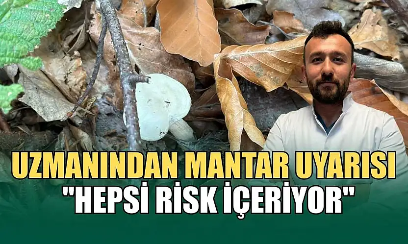 Uzmanından mantar uyarısı: 'Hepsi risk içeriyor'
