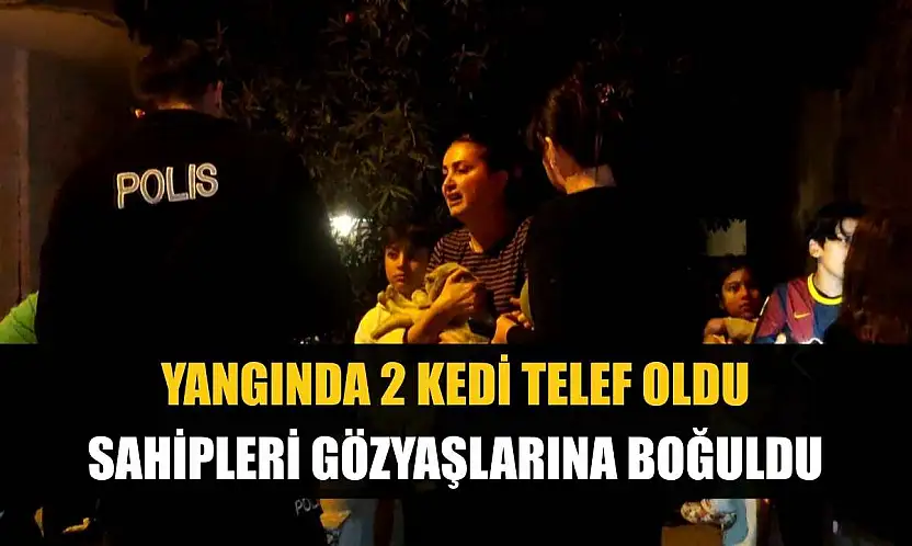 Yangında 2 kedi telef oldu, sahipleri gözyaşlarına boğuldu
