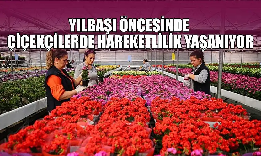 Yılbaşı öncesinde çiçekçilerde hareketlilik yaşanıyor