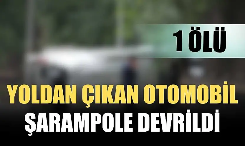 Yoldan çıkan otomobil şarampole devrildi 1 ölü