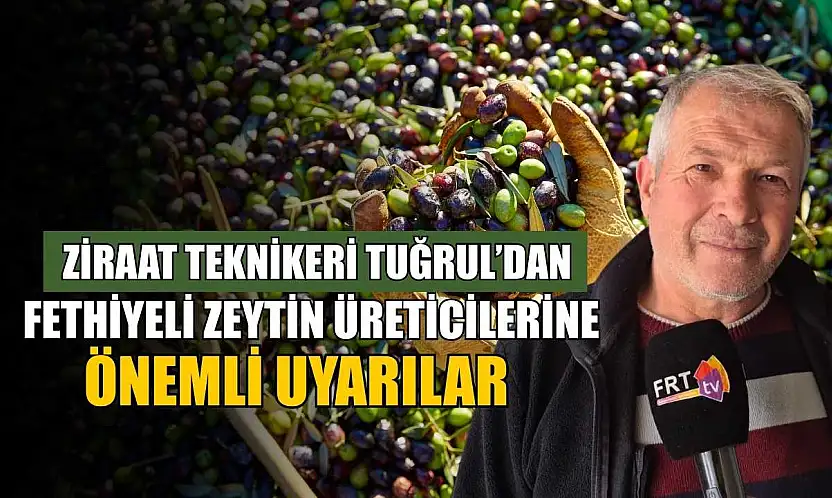 Ziraat Teknikeri Tuğrul'dan, Fethiyeli zeytin üreticilerine önemli uyarılar
