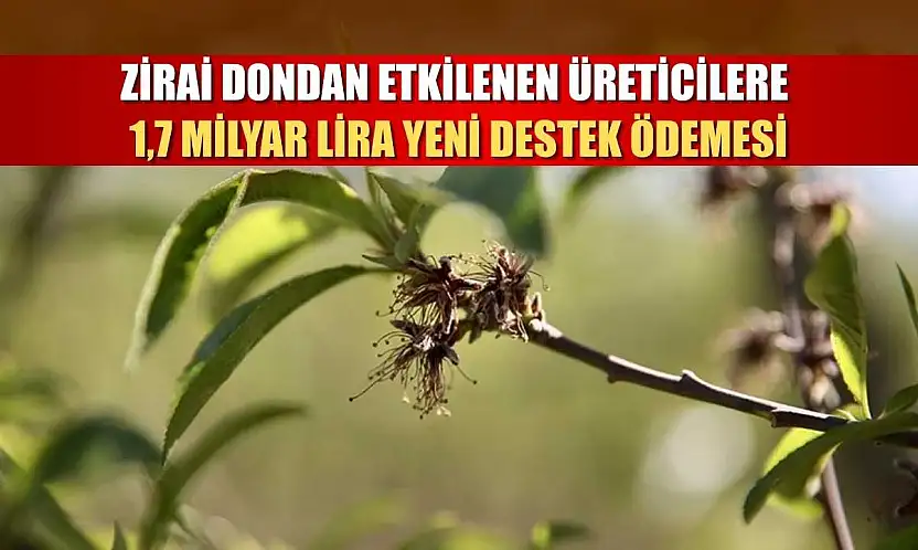 Zirai dondan etkilenen üreticilere 1,7 milyar lira yeni destek ödemesi
