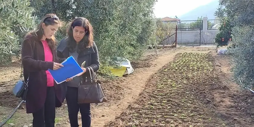 Alternatif Geçim Kaynağı, Salep Üretimi