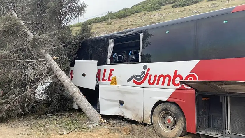 Kontrolden çıkan yolcu otobüsü ağaca çarptı: İlk belirlemelere göre 11 yaralı var