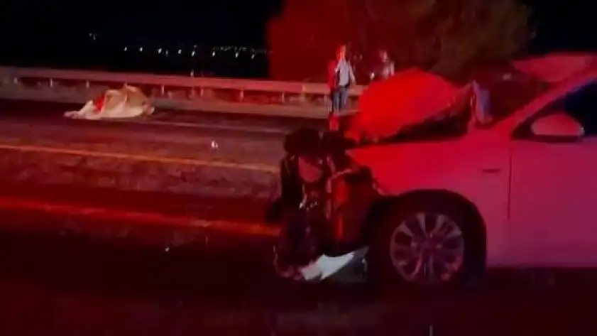 Otomobil ineğe çarptı: 2 yaralı