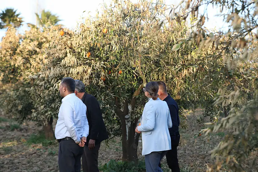 Acı Ot Festivali Bodrumlu şefleri ağırlıyor