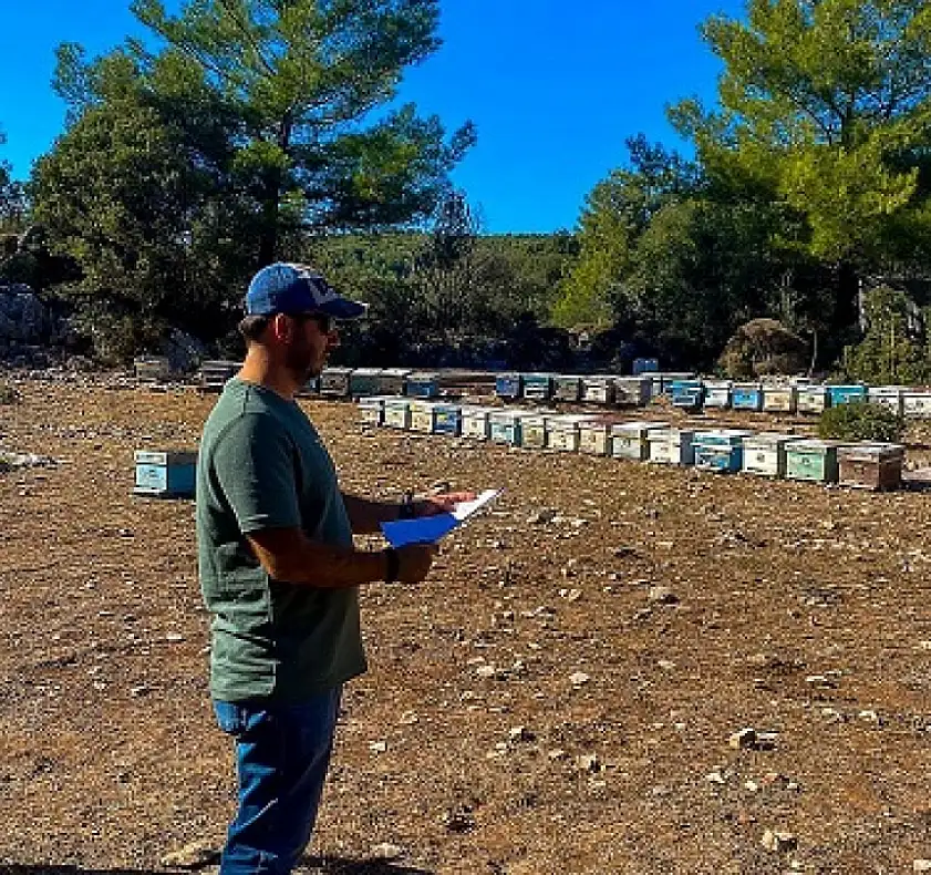 Muğla'da kovan tespit çalışmaları sürüyor