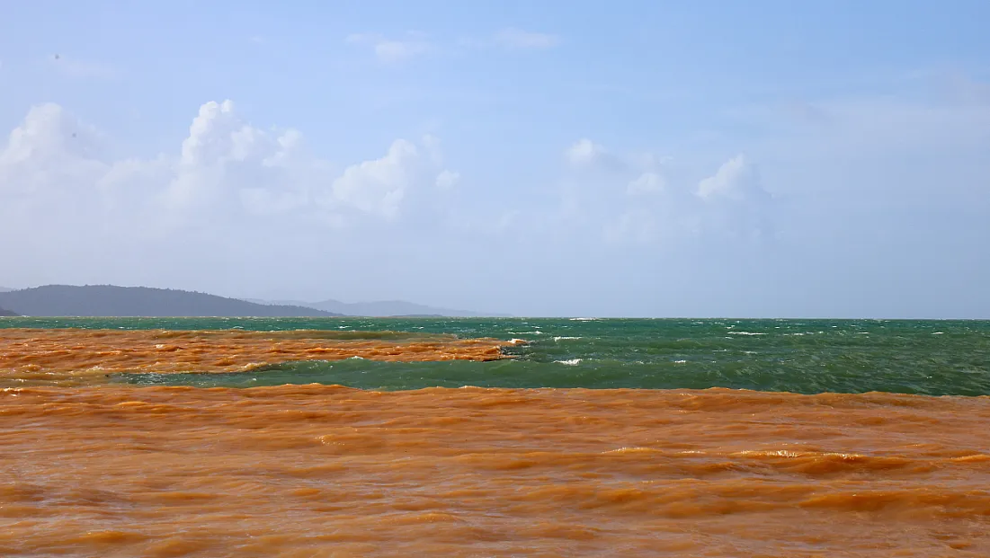 Akyaka'da denizin rengi kahverengiye döndü