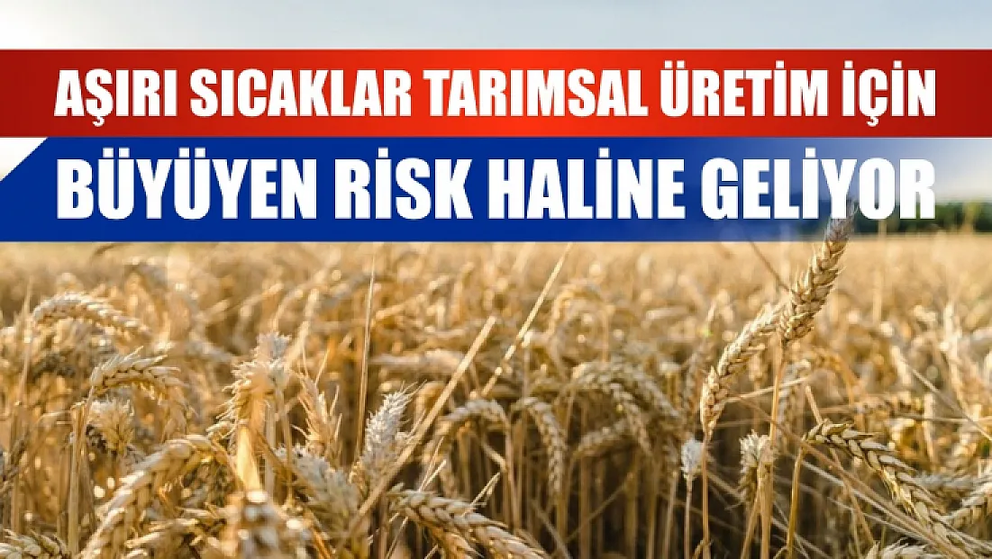 Aşırı sıcaklar tarımsal üretim için büyüyen risk haline geliyor