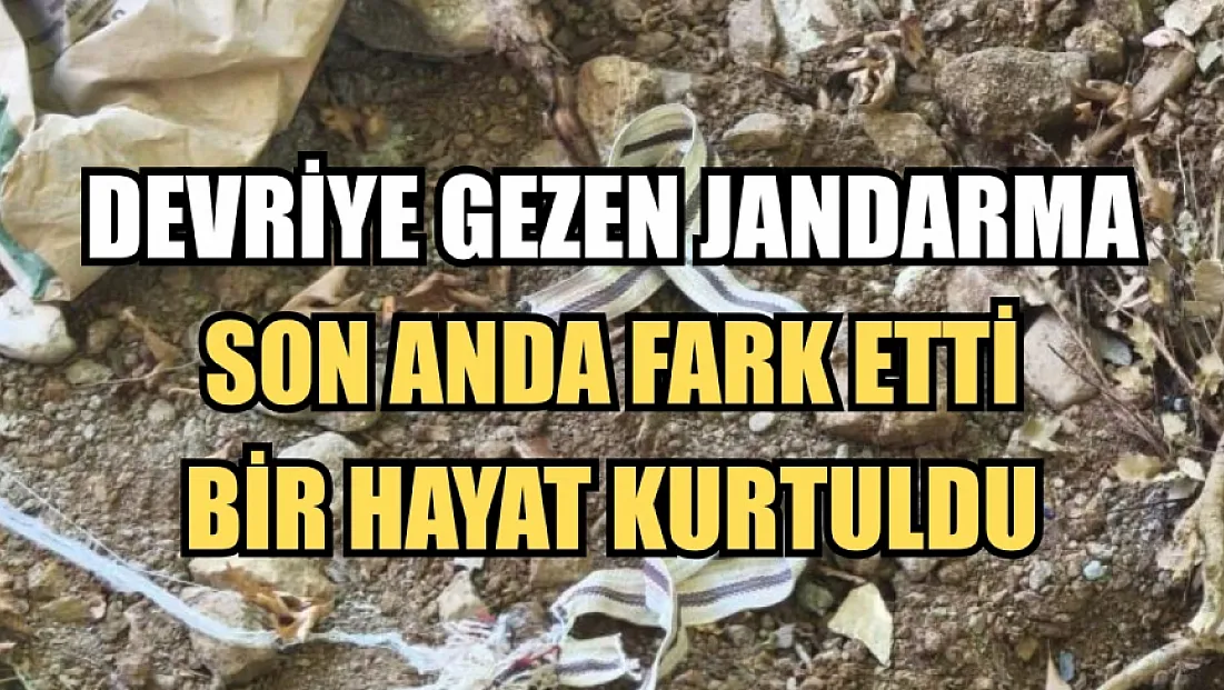 Devriye gezen jandarma son anda fark etti, bir hayat kurtuldu