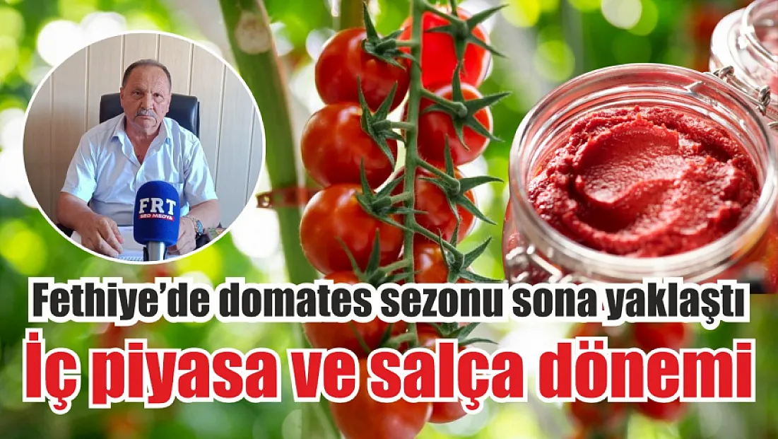 Fethiye’de domates sezonu sona yaklaştı: İç piyasa ve salça dönemi