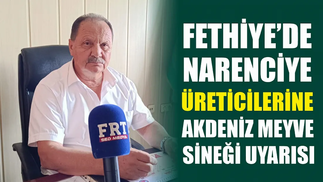Fethiye’de narenciye üreticilerine Akdeniz meyve sineği uyarısı
