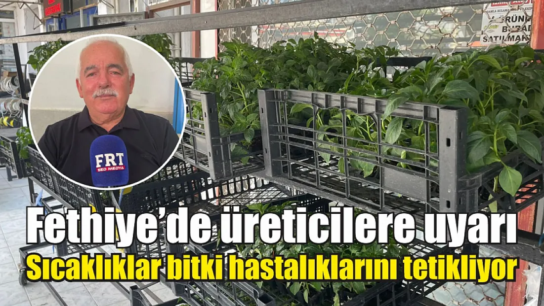 Fethiye’de üreticilere uyarı: Sıcaklıklar bitki hastalıklarını tetikliyor
