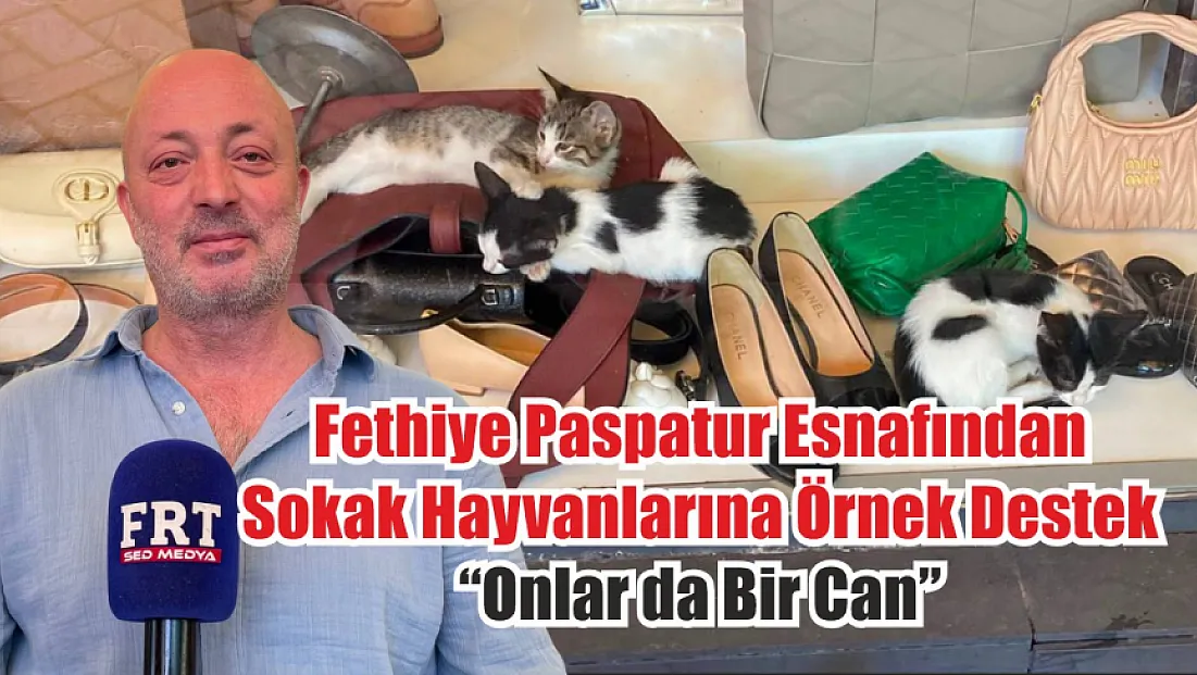 Fethiye Paspatur Esnafından Sokak Hayvanlarına Örnek Destek: ‘Onlar da Bir Can’