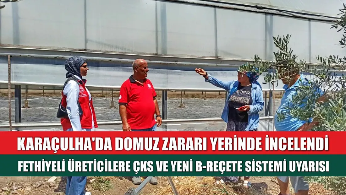 Karaçulha'da domuz zararı yerinde incelendi: Fethiyeli üreticilere ÇKS ve yeni B-Reçete Sistemi uyarısı