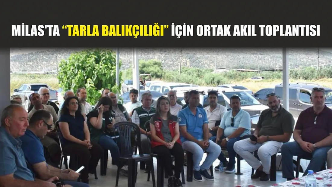 Milas'ta ‘Tarla Balıkçılığı’ için ortak akıl toplantısı