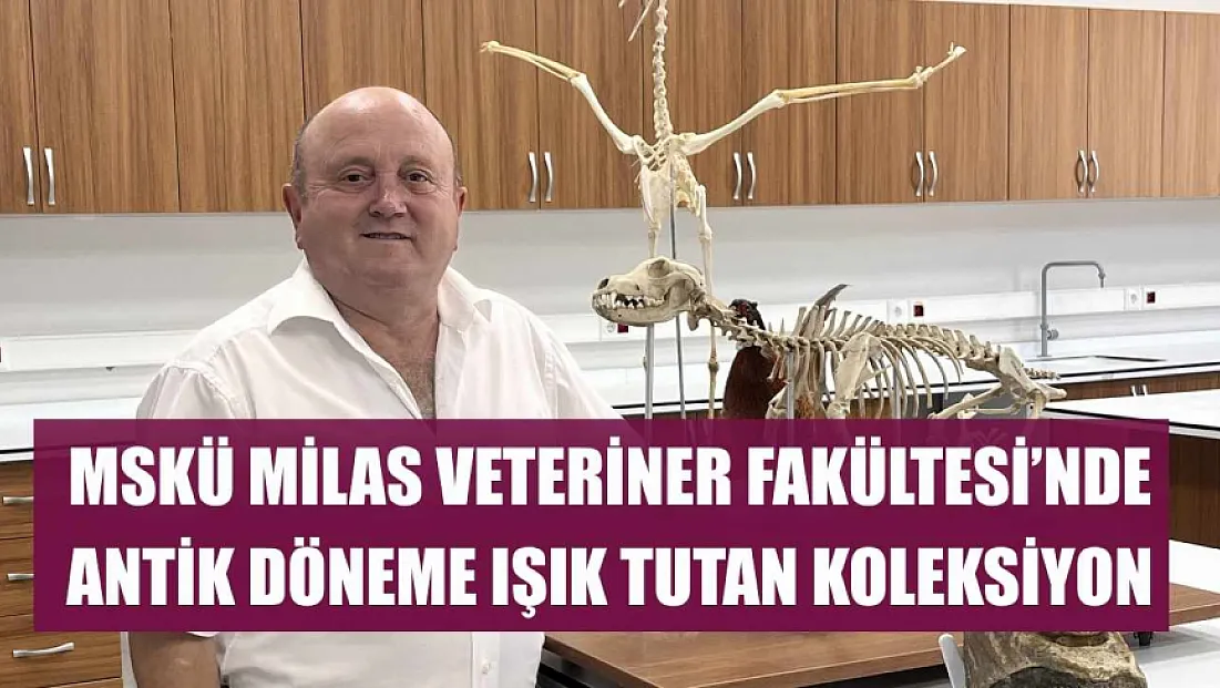 MSKÜ Milas Veteriner Fakültesi'nde Antik Döneme Işık Tutan Koleksiyon