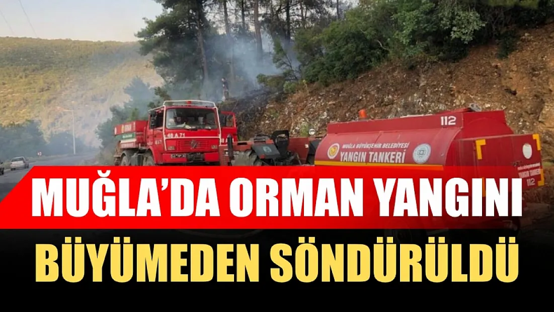 Muğla'da orman yangını büyümeden söndürüldü