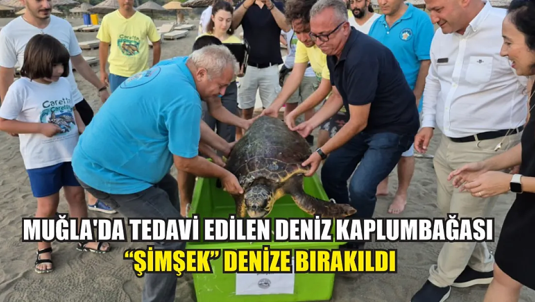 Muğla'da tedavi edilen deniz kaplumbağası 'Şimşek' denize bırakıldı