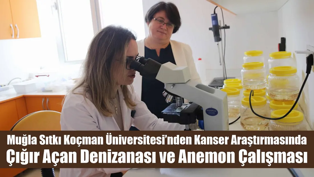 Muğla Sıtkı Koçman Üniversitesi’nden Kanser Araştırmasında Çığır Açan Denizanası ve Anemon Çalışması