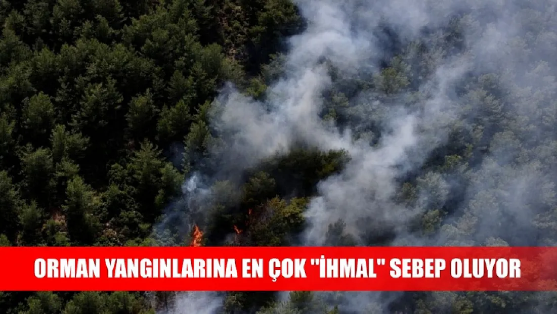 Orman yangınlarına en çok 'ihmal' sebep oluyor
