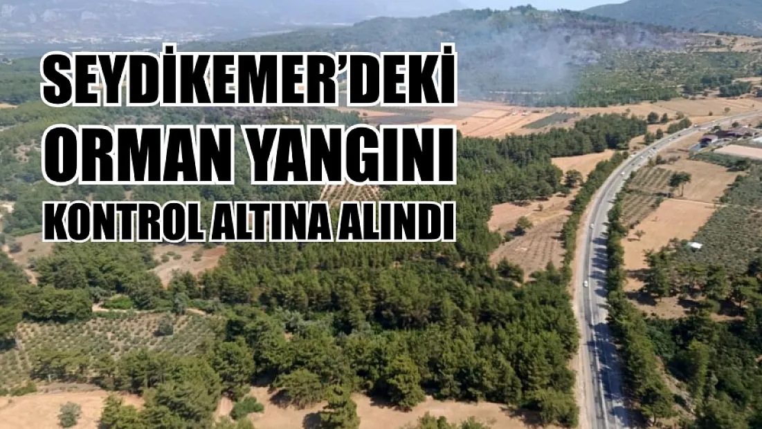 Seydikemer'deki orman yangını kontrol altına alındı