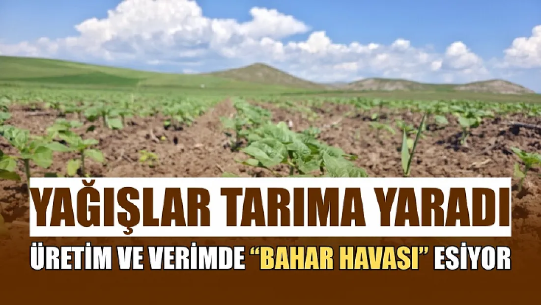 Yağışlar tarıma yaradı, üretim ve verimde 'bahar havası' esiyor