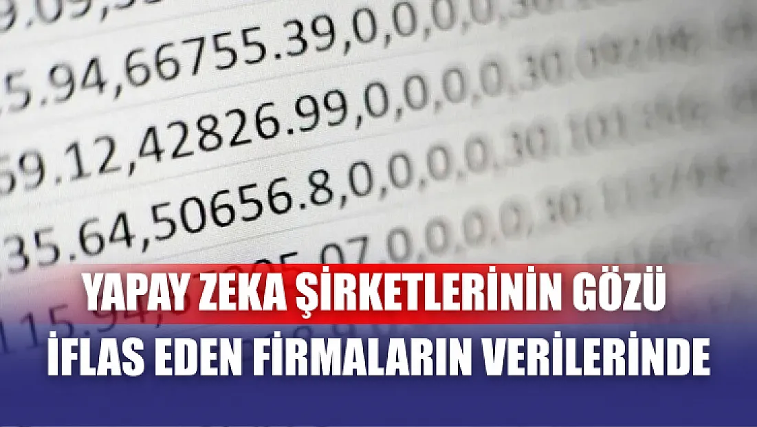 Yapay zeka şirketlerinin gözü iflas eden firmaların verilerinde