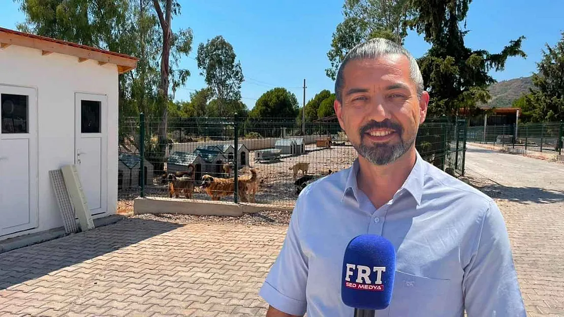 Fethiye Belediyesi'nden patili dostlar için dijital sahiplendirme dönemi