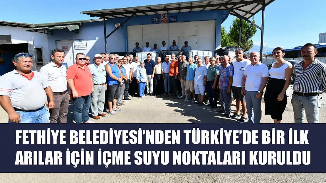 Fethiye Belediyesi'nden Türkiye'de Bir İlk: Arılar İçin İçme Suyu Noktaları Kuruldu