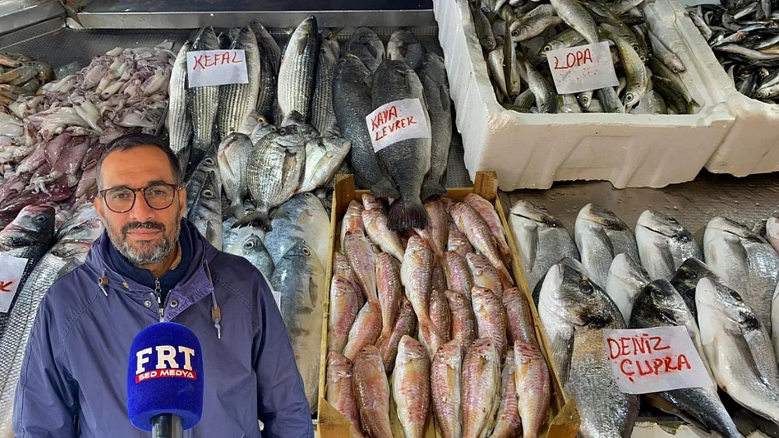 Fethiye'de balık tezgahları hareketlendi: Çeşit arttı, ilgi yükseldi
