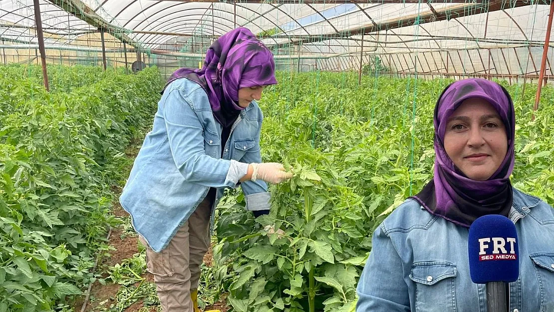 Fethiye'de Çiftçilik Yapıyor, Sosyal Medyada Üretimi Anlatıyor
