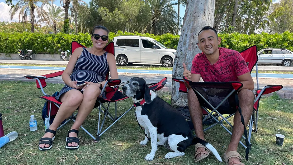 Fethiye'de doğanın kalbinde bir gün: Kordon'da piknik keyfi