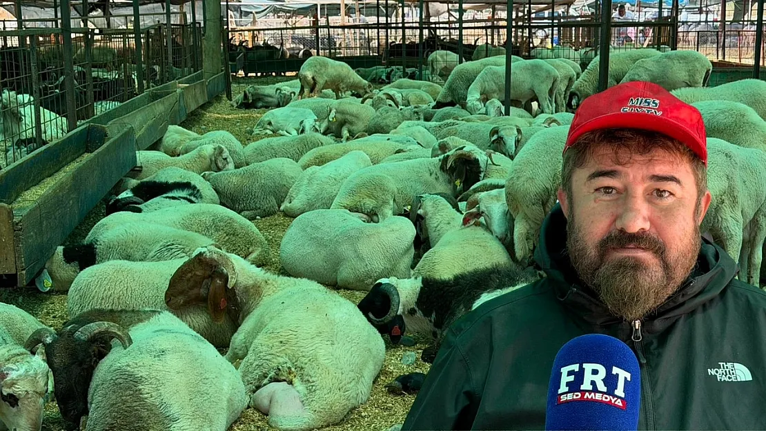 Fethiye'de kurbanlık hareketliliği başladı: Çarıklı Et'ten 3 bin metrelik yayla kalitesi