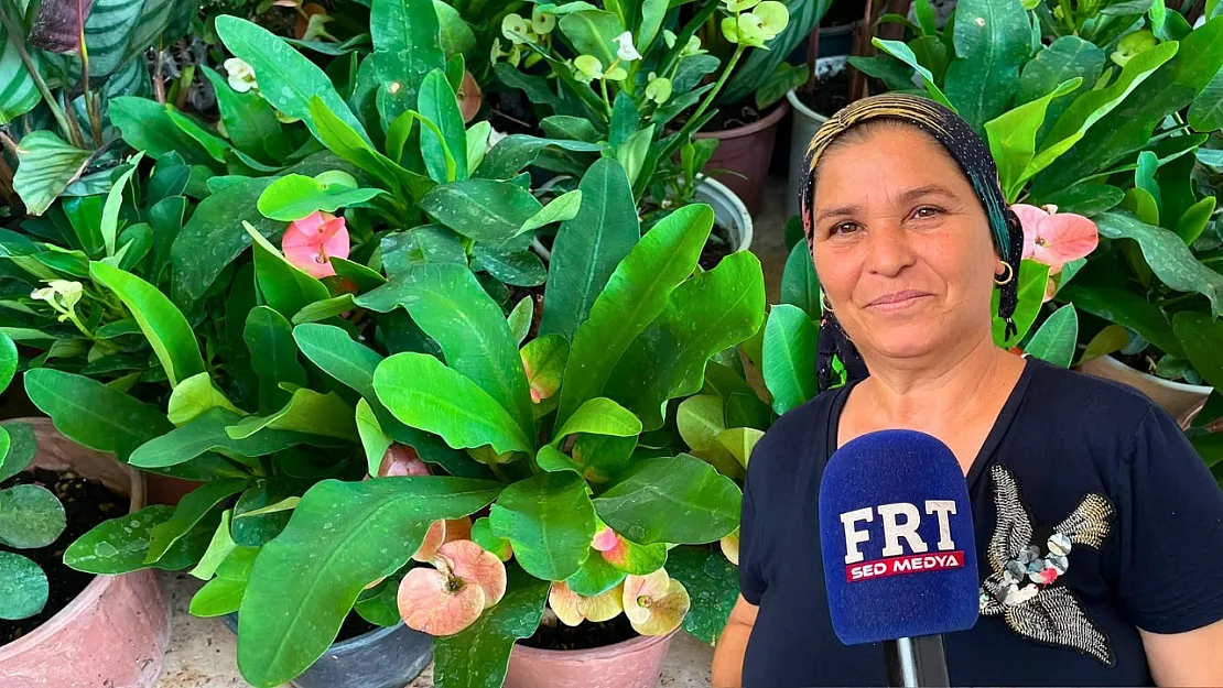 Fethiye'de yaz sıcaklarına karşı çiçek bakımının püf noktaları