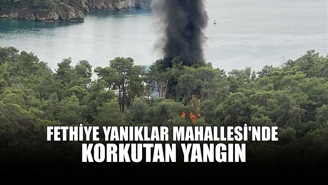 Fethiye Yanıklar Mahallesi'nde korkutan yangın