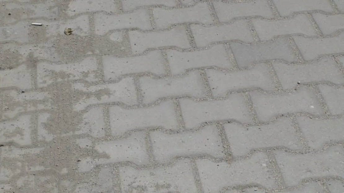 Parke çalışmaları tamamlandı