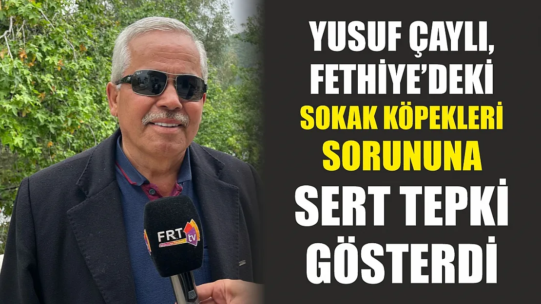 Yusuf Çaylı, Fethiye'deki sokak köpekleri sorununa sert tepki gösterdi