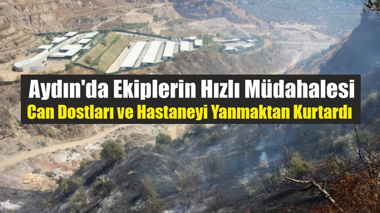 Aydın'da ekiplerin hızlı müdahalesi can dostları ve hastaneyi yanmaktan kurtardı