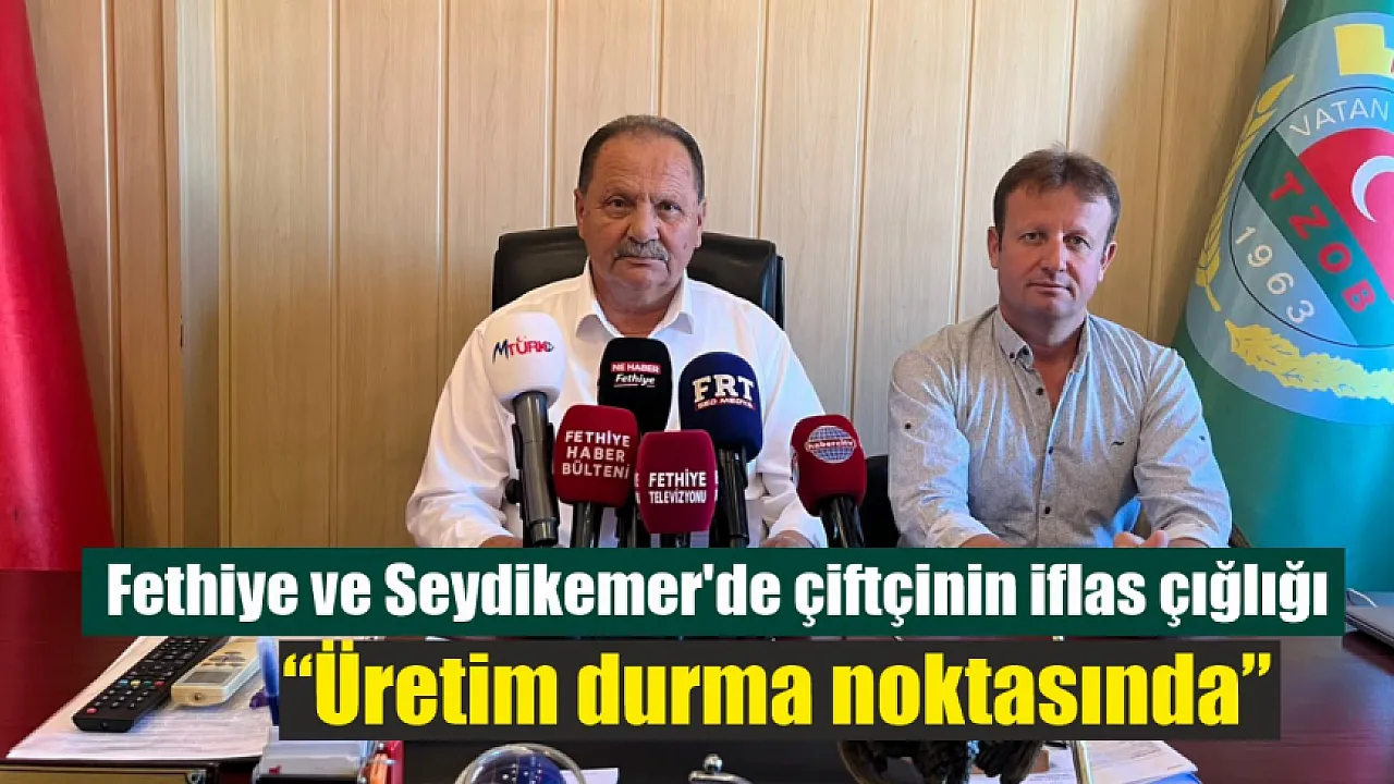 Fethiye ve Seydikemer'de çiftçinin iflas çığlığı: ‘Üretim durma noktasında’